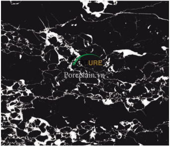 HI-GLOSS UNIVERSAL BLACK 