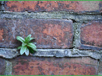 GẠCH SIÊU NHẸ LÀ GÌ ?